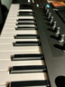 KOMPLETE NI KOMPLETE KONTROL M32/A25/A49/A61半配重MIDI鍵盤(pán)編曲控制器 M32鍵合成器手感【贈(zèng)音源軟件】 曬單實(shí)拍圖