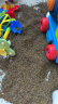 恩贝家族大颗粒决明子5斤儿童沙滩沙池玩沙玩具3-6岁宝宝沙漏围栏 实拍图