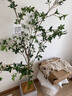 瑯闕仿真綠植馬醉木假盆栽擺件室內客廳家居裝飾綠植日本吊鐘仿真植物 1.5米山茶【原盆款】 曬單實(shí)拍圖