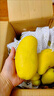 京遇良橙海南三亞金煌芒果新鮮水果禮盒熱帶水果芒果 5斤中果【單果200-300克】?jì)糁?.5斤 曬單實(shí)拍圖
