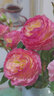花藝赫家飾牡丹仿真花絹花室內(nèi)假花干花玫瑰花花束餐桌花擺設(shè)客廳裝飾花擺件 玫紅粉西洋玫瑰【5支】 曬單實(shí)拍圖