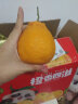 生活＆好管家四川丑橘不知火新鲜水果桔橘子丑柑丑八怪整箱 (85-90)特大果带箱5斤(净重4.5+) 实拍图