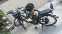 飛鴿電動(dòng)助力自行車(chē)鋰電助力喜瑪諾變速雙碟剎旅行通勤電動(dòng)自行車(chē)包安裝 24寸黑色喜瑪諾7速雙碟剎包安裝 30A助力續航約85km 曬單實(shí)拍圖
