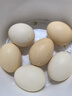 九華山正宗山區農家五谷散養初生蛋土雞蛋寶寶聰明蛋孕婦兒童營(yíng)養 試吃版初生小蛋十枚整箱約300克 曬單實(shí)拍圖