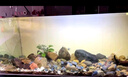 漁次郎防水led燈魚缸燈照明燈水族箱燈三湖慈鯛錦鯉金龍紅龍魚燈管專用 T8三排高亮燈【長(zhǎng)110cm-22瓦】 三基色增紅燈 紅魚不紅水用 曬單實(shí)拍圖