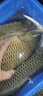 迎科 雙槽新關(guān)東無倒刺釣魚鉤釣鉤漁鉤散裝競技鯽魚鉤鯉魚鉤 黑 雙槽新關(guān)東   5#30枚裝 曬單實拍圖