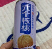 养元六个核桃 精品型核桃乳植物蛋白饮料 240ml*16罐 箱装饮品 实拍图