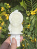 ZOKU雪糕冰棒模具兒童食品級(jí)家用自制卡通動(dòng)物冰棍硅膠迷你模具冰格 極地探險(xiǎn)冰棒模（6支裝） 曬單實(shí)拍圖