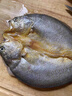 黃小漁寧德黃魚鲞400g/2條 三去大黃魚黃花魚生鮮 海鮮水產(chǎn)燒烤魚類中秋 曬單實(shí)拍圖