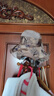 布塔真絲桑蠶絲遮陽(yáng)帽子女夏季防曬太陽(yáng)帽大檐沙灘出行旅游防曬帽 奶茶色 曬單實(shí)拍圖