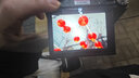 SONY索尼CCD相機(jī)WX500 WX350 WX300二手入門學(xué)生黨W830 W810復(fù)古數(shù)碼相機(jī) 索尼WX500【30倍光變 WiFi傳輸】 99成新 曬單實(shí)拍圖