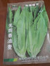 中科茂華 蔬菜種子 油麥菜生菜種子 美利堅亮劍類型油麥菜種子 20天可采摘 家庭園藝陽臺盆栽種植 無斑香油麥 油麥菜種子100克/袋 曬單實拍圖