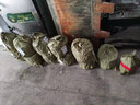 斗途園藝 防盜防爬帶刺鐵絲網(wǎng)圍欄圍墻 鍍鋅防銹鐵蒺藜刺繩刺絲網(wǎng)防護欄網(wǎng) 2.1熱鍍鋅雙股刺繩200米 曬單實拍圖
