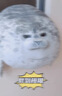 吉吉熊（JIJIXIONG）日本大阪海豹抱枕公仔玩偶仿真丑萌毛絨玩具娃娃情人節生日禮物 睜眼海豹（新升級高質(zhì)量) 60cm（0.9kg） 曬單實(shí)拍圖