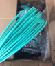 諾可信（Nokoxin）MPO-MPO光纖跳線(xiàn)母頭多模8芯12芯 OM3/OM4集束B(niǎo)極性兼容MTP 40G/100G跳線(xiàn) MPO-MPO多模8芯 OM4 15米 曬單實(shí)拍圖