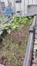德沃多肥料进口营养土50L通用种菜养花土壤种植土兰花多肉土园艺有机盆栽土 实拍图