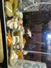 墨之瑤金魚觀賞魚活魚好養(yǎng)耐活淡水冷水魚苗養(yǎng)不死蘭壽蝶尾斗魚熱帶孔 金魚隨機5條5-7cm(4+1備損) 曬單實拍圖