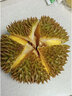 儲褚榴蓮進(jìn)口水果 泰國金枕榴蓮 帶殼新鮮榴蓮  精選A果批發(fā)榴蓮 2-3斤個(gè)人食用比較小包3房 曬單實(shí)拍圖