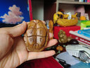 天然金絲楠木實(shí)木雕刻富甲天下龜殼手把件桌面擺件把玩件龜甲把件 富甲天下穿繩6.7*4.5*3.3cm 曬單實(shí)拍圖