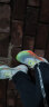 乔丹QIAODAN飞影PB3.0马拉松全掌碳板竞速跑步鞋巭Pro减震运动鞋 青柚橘光 41 实拍图