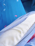 脊態(tài)（Back2）護頸枕頭 記憶枕睡眠睡覺(jué)專(zhuān)用枕頭分區肉墊枕頭枕芯 英短灰 單只 曬單實(shí)拍圖