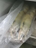 海宏盈老虎蝦黑虎蝦 新鮮特大蝦對蝦海鮮禮品 1000g 4只30-31cm 1000g(凈重) 曬單實(shí)拍圖