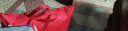 水星家纺蚕丝枕头枕芯颈椎枕枕头升级抗菌对枕 囍·金玉良缘 实拍图