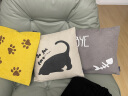foojo沙发抱枕靠垫床头靠背立体刺绣慵懒猫系列 猫脚印 实拍图