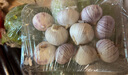 密水農(nóng)家鮮摘獨(dú)頭蒜300g 本地自種干蒜頭 新鮮時(shí)令蔬菜 干蒜 曬單實(shí)拍圖