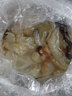 小通海蜇頭5斤非即食海蜇皮海蜇頭爽脆無(wú)沙涼拌海蜇夏季 1斤 曬單實(shí)拍圖