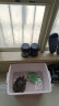 迪普尔 龟粮1000ml乌龟饲料龟食巴西龟虾干面包虫小鱼干六合一幼龟 六拼乌龟海鲜粮（1000ml） 晒单实拍图