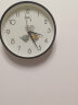 康巴丝（Compas）挂钟客厅 卡通儿童房石英钟表挂墙时钟 c2855 可爱小鸟 实拍图