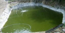 華畜 低溫肥水膏肥水王氨基酸肥水膏水產(chǎn)養殖魚(yú)蟹蝦塘超濃縮多肽培藻 2桶【低至45/桶】氨基酸肥水膏 曬單實(shí)拍圖