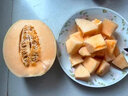 澤鮮達(dá)新疆黃皮哈密瓜 新鮮黃金蜜甜瓜當(dāng)季水果脆甜黃金哈蜜瓜整箱 1顆優(yōu)選裝 曬單實(shí)拍圖