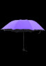 亲海晴雨两用雨伞 加厚男女两用雨伞防晒折叠太阳伞 学生女士遮阳伞创意伞 大号 紫色 实拍图