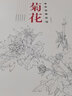 菊花/白描技法精解 曬單實(shí)拍圖