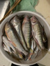 一味化氏活魚(yú)袋加厚耐磨便攜釣魚(yú)折疊魚(yú)袋漁獲裝魚(yú)袋垂釣用品 小號【70cmX75cm 無(wú)增氧孔】 曬單實(shí)拍圖