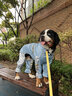 華元寵具（hoopet）狗狗雨衣全包四腳裝防水金毛中大型犬衣服大狗防水衣夏天寵物雨衣 【高顏值】藍銀撞色-可拆尾巴套 4XL建議26-40斤 曬單實拍圖