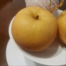 玢果萱萊陽(yáng)秋月梨 羊脂老樹(shù)秋月梨禮盒帶箱9斤新鮮當季孕婦水果中秋送禮 秋月梨禮盒裝【8-9顆】 【禮盒隨機】+爆甜多汁 曬單實(shí)拍圖