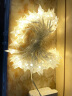 多美忆彩灯串氛围灯新年装饰2024龙年春节室内外氛围节日暖灯10米100灯 实拍图