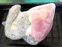 饞咄咄鱷魚(yú)活體現殺整條鱷魚(yú)腿 鱷魚(yú)尾 鱷魚(yú)掌 鱷魚(yú)身段整只鱷魚(yú)肉 兩斤腿（包新鮮）砍塊 曬單實(shí)拍圖
