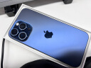 Apple iPhone 15 Pro Max (A3108) 256GB 蓝色钛金属 支持移动联通电信5G 双卡双待手机 实拍图