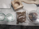爬蟲(chóng)透明水盆喝水碗菜盤(pán)蜥蜴蛇蜘蛛守宮烏龜蝎子蜈蚣蟋蟀 玻璃水盆一個(gè) 曬單實(shí)拍圖
