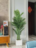 未歐仿真綠植假植物高端輕奢大型室內(nèi)盆栽裝飾擺件散尾葵仿真花擺設(shè) 140cm 靈動款散尾葵+白色方形盆 曬單實拍圖