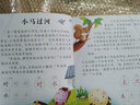 幼兒早期閱讀與識(shí)字（套裝共8冊(cè)）3-6歲幼兒園看圖識(shí)字教材全套認(rèn)字書兒童語(yǔ)言表達(dá)書 曬單實(shí)拍圖