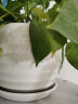 裕轩堂陶瓷花盆个性特大号创意多肉室内简约吊兰绿萝家用阳台绿植带托盘 84015-白 17厘米左右 实拍图