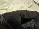 耐克（NIKE）【滔搏運動(dòng)】男子防風(fēng)羽絨運動(dòng)休閑馬甲SPORTSWEAR WINDRUNNER FB8184-010 L 曬單實(shí)拍圖