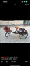 飛鴿 FG FLYING PIGEON飛鴿三輪車?yán)先诵⌒托蓍e家用買菜人力自行腳踏車?yán)夏昴_蹬代步車 20寸小斗款酒紅色+正新輪胎 曬單實(shí)拍圖