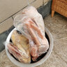 歸隱 蘇北農(nóng)家散養(yǎng)2年老母雞 殺后凈重1.25kg 現(xiàn)殺土雞草雞 曬單實(shí)拍圖