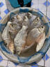 川澤淺水漂草洞冰釣魚(yú)漂加粗醒目小吃鉛高靈敏浮漂鯽魚(yú)大浮力綜合漂 CN-1粗尾【浮釣草魚(yú)】鉛3-4g 2號 曬單實(shí)拍圖